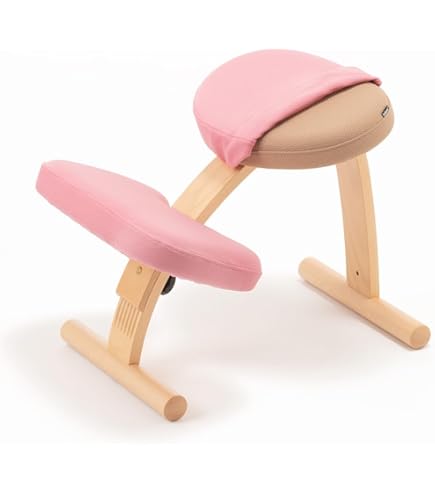 SAKAMOTO HOUSE  バランスチェア　balance easy Amazon.co.jp: Balance Chair Easy Navy Balance Lab (Formerly